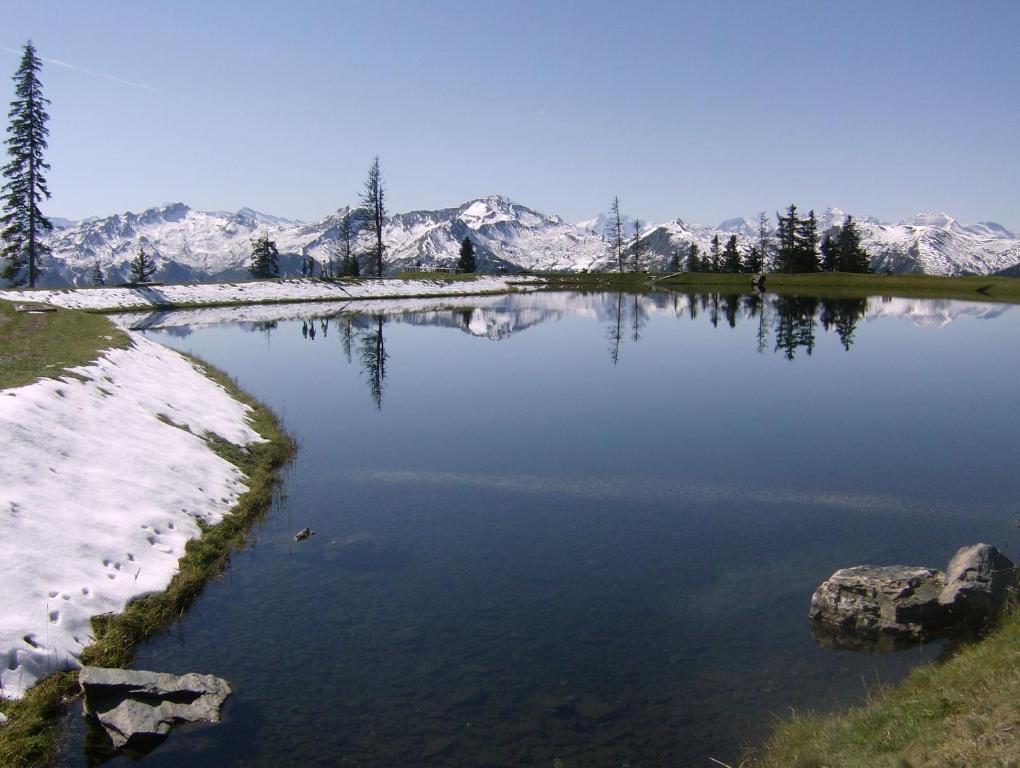 Отель Gaestehaus Gratz - Inklusive Eintritt In Die Alpentherme Дорфгаштайн Экстерьер фото