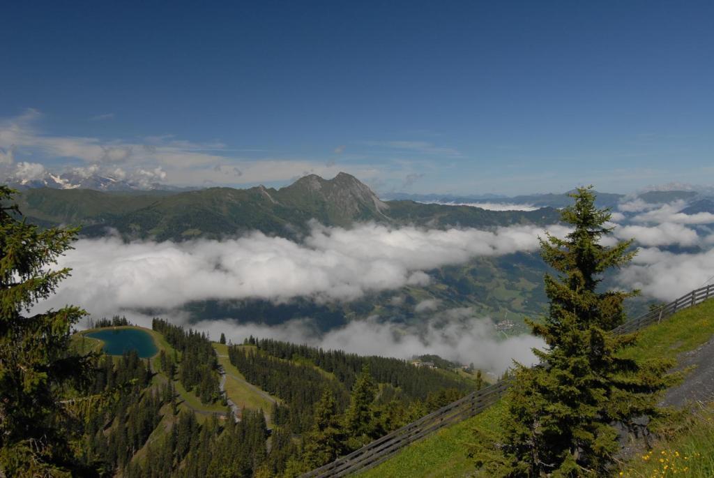 Отель Gaestehaus Gratz - Inklusive Eintritt In Die Alpentherme Дорфгаштайн Экстерьер фото