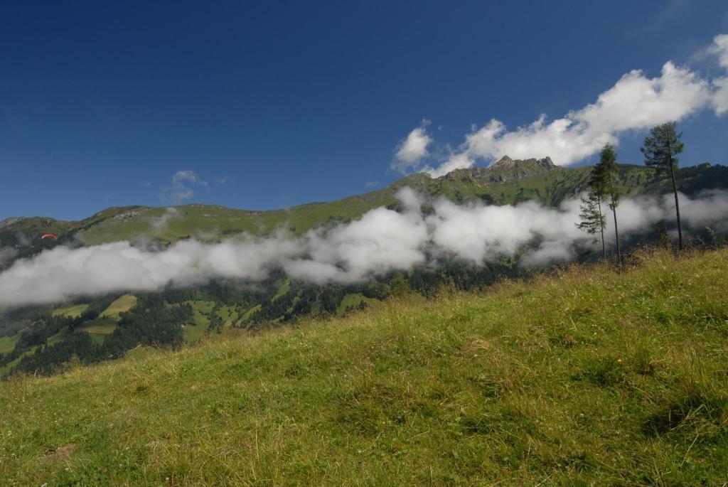 Gaestehaus Gratz - Inklusive Eintritt In Die Alpentherme Дорфгаштайн Экстерьер фото