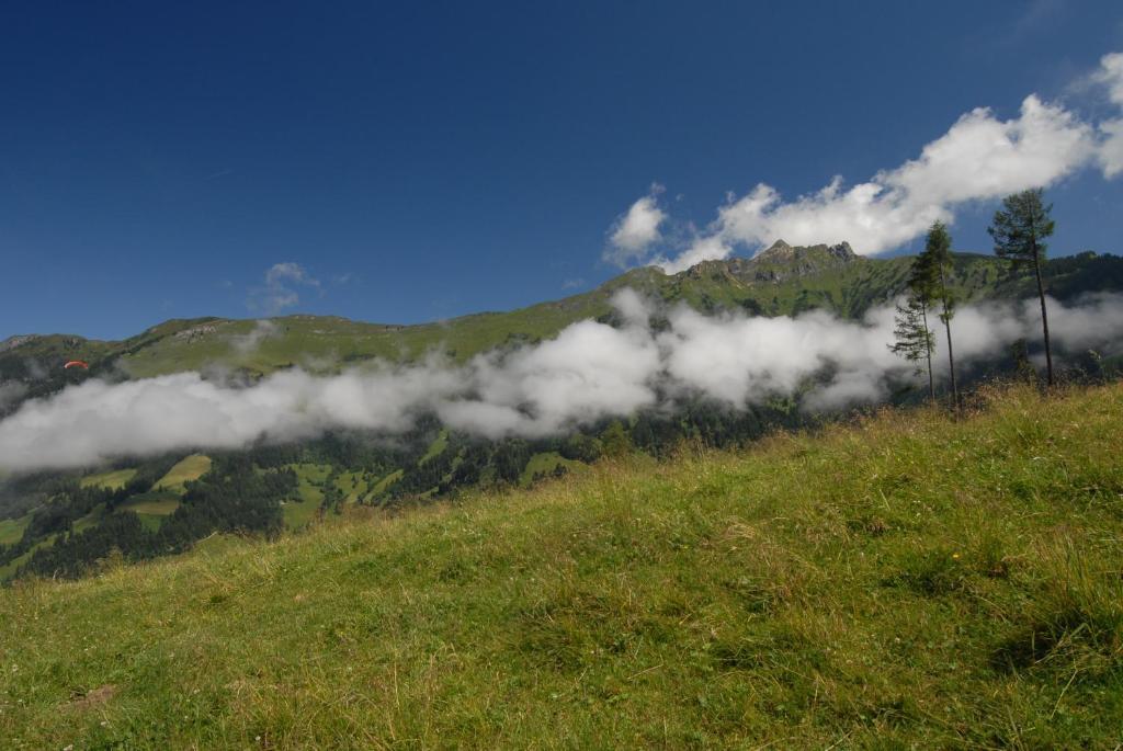 Отель Gaestehaus Gratz - Inklusive Eintritt In Die Alpentherme Дорфгаштайн Экстерьер фото